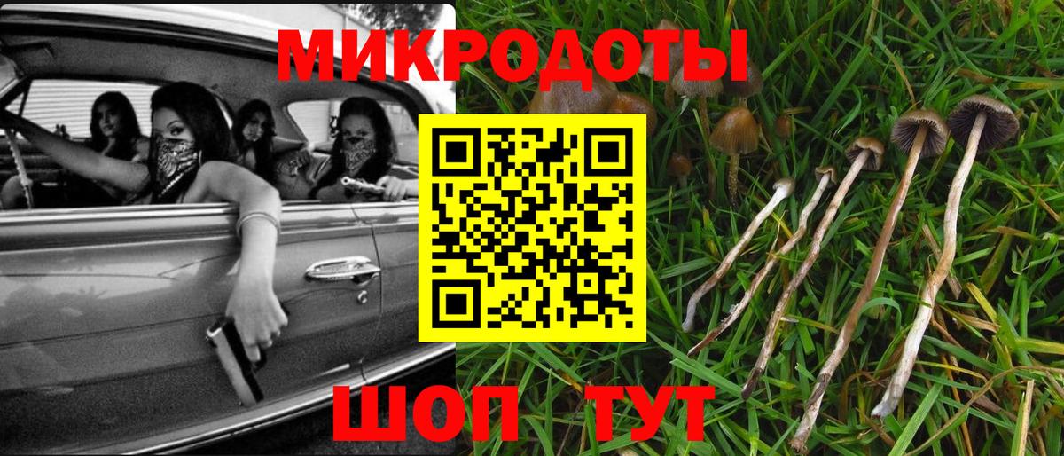 Галлюциногенные грибы Magic Shrooms  Псилоцибиновые грибы Magic Shrooms  Вход с VPN  Усть-Джегута 