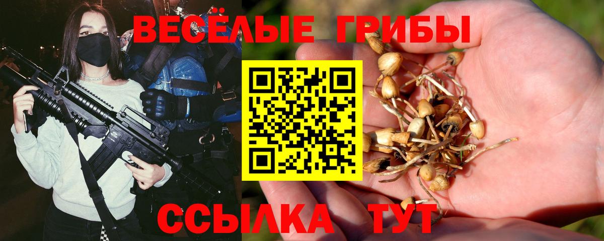 Галлюциногенные грибы Psilocybe Усть-Джегута